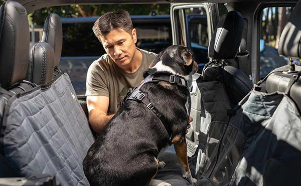 Essential Dog Car Travel Accessories (UK) — Safety, Comfort & Cleanliness