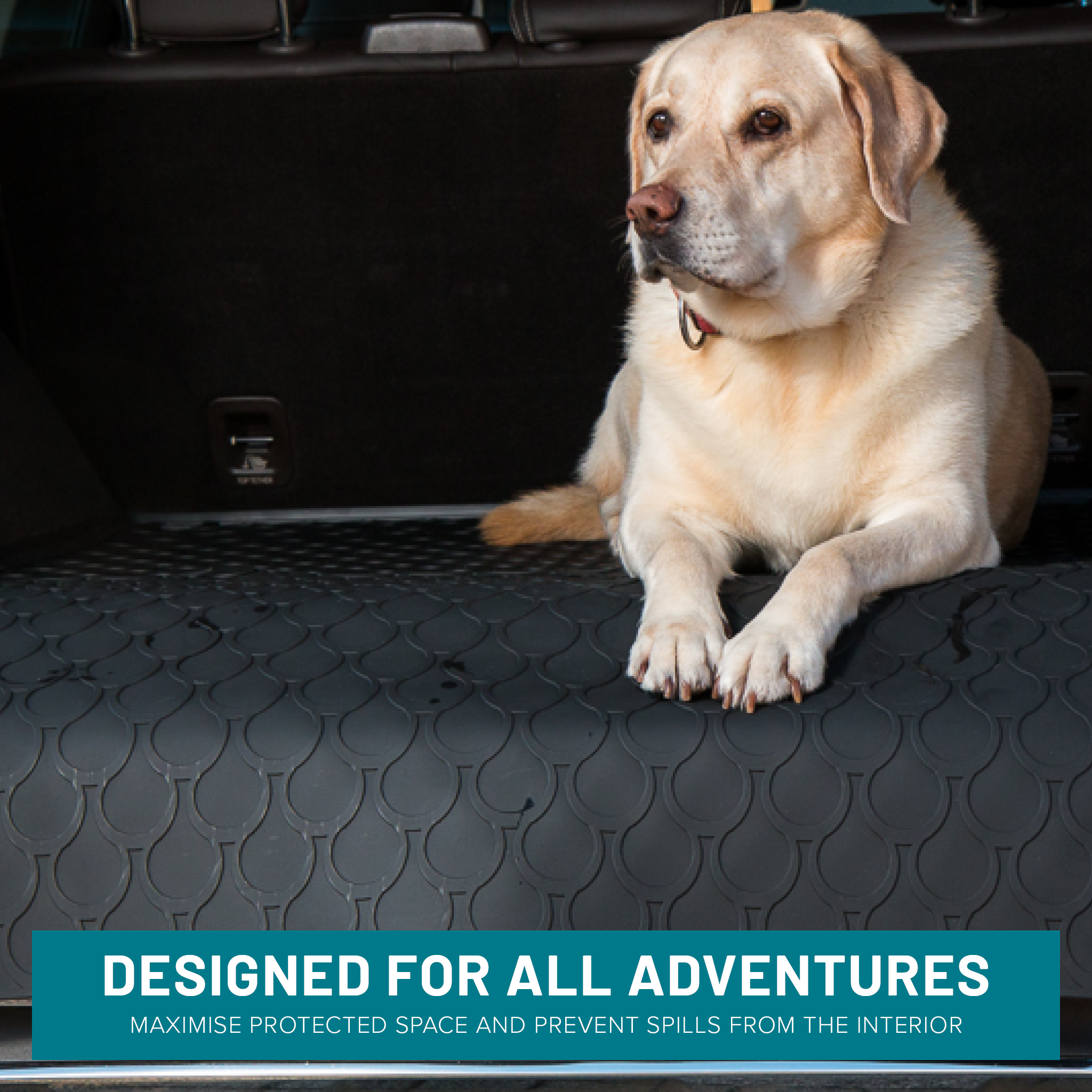 Boot mat in vehicle with a Dog sitting on the mat