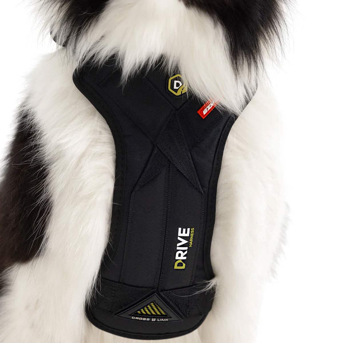 Best Dog car harness