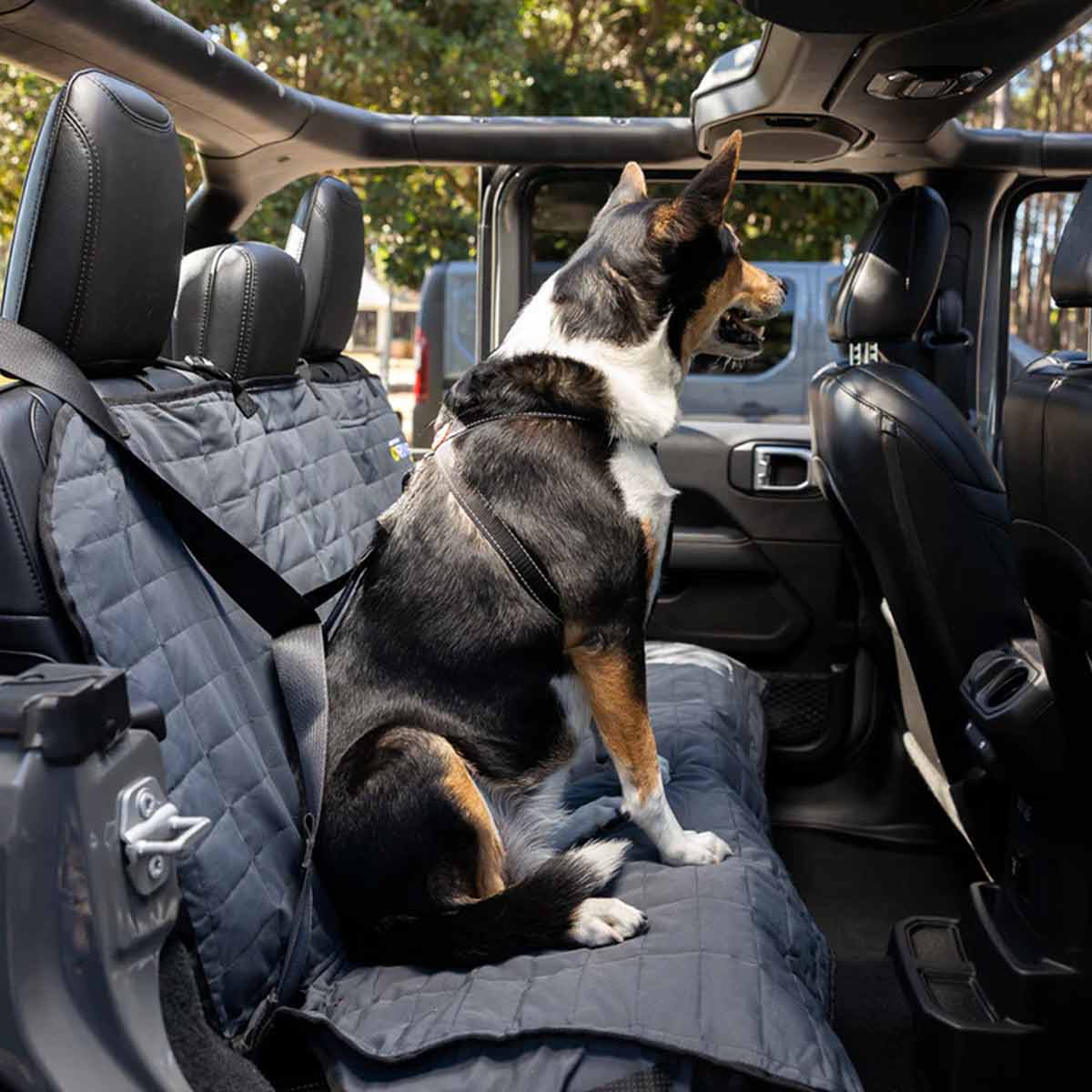 Car Restraint