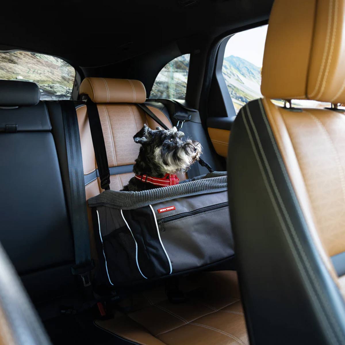 Dog booster car seat