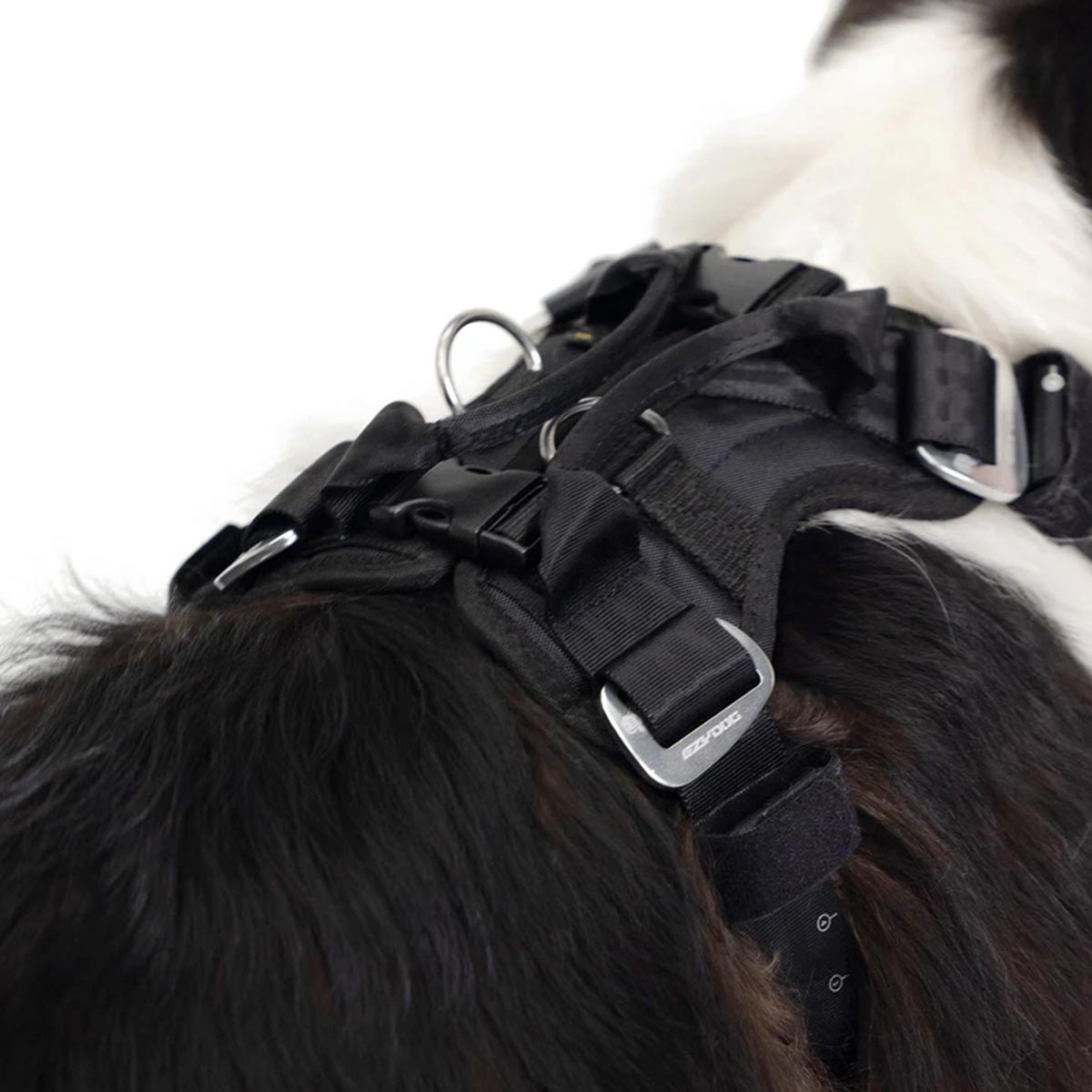 Dog car harnesses for cars