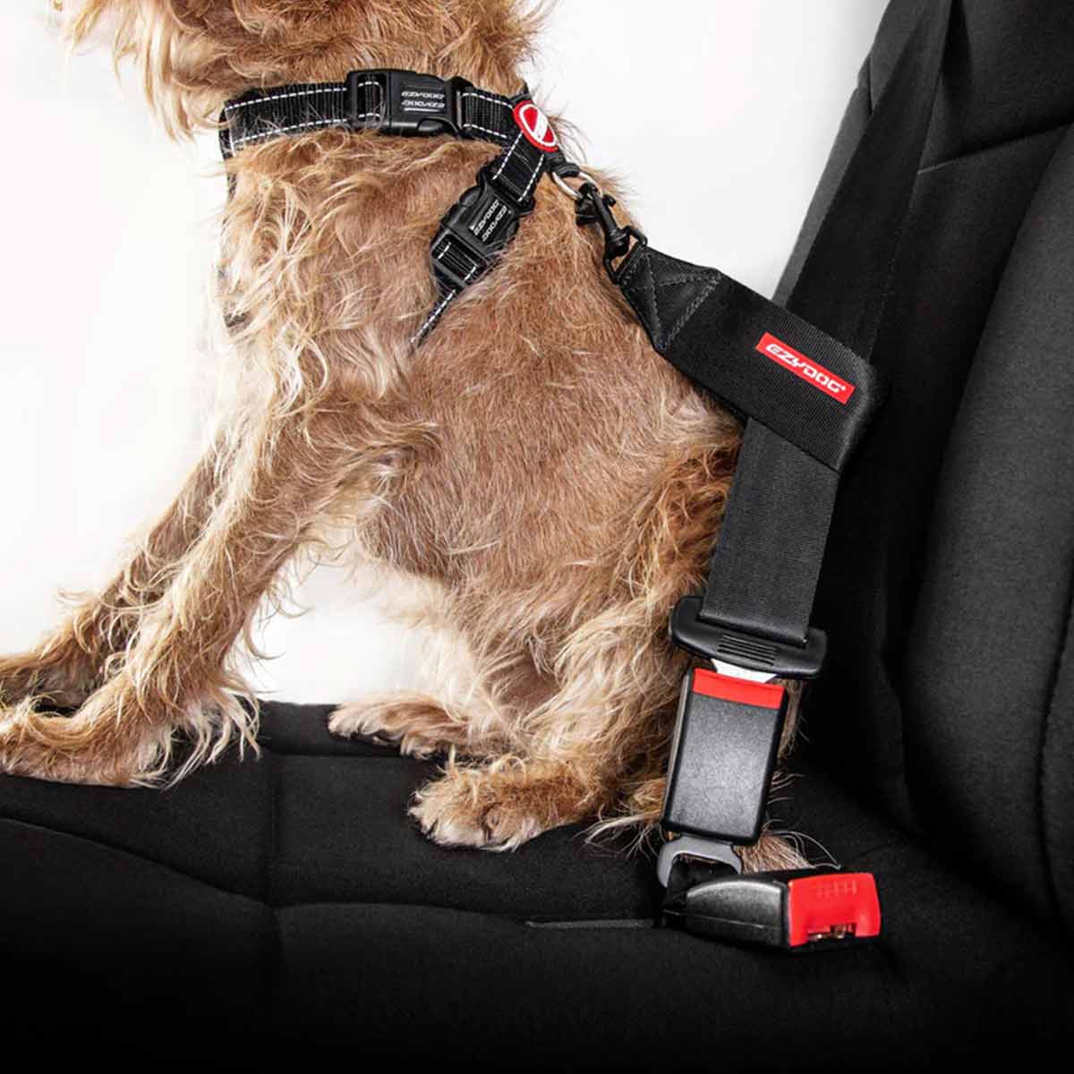Dog Car Restraint UK