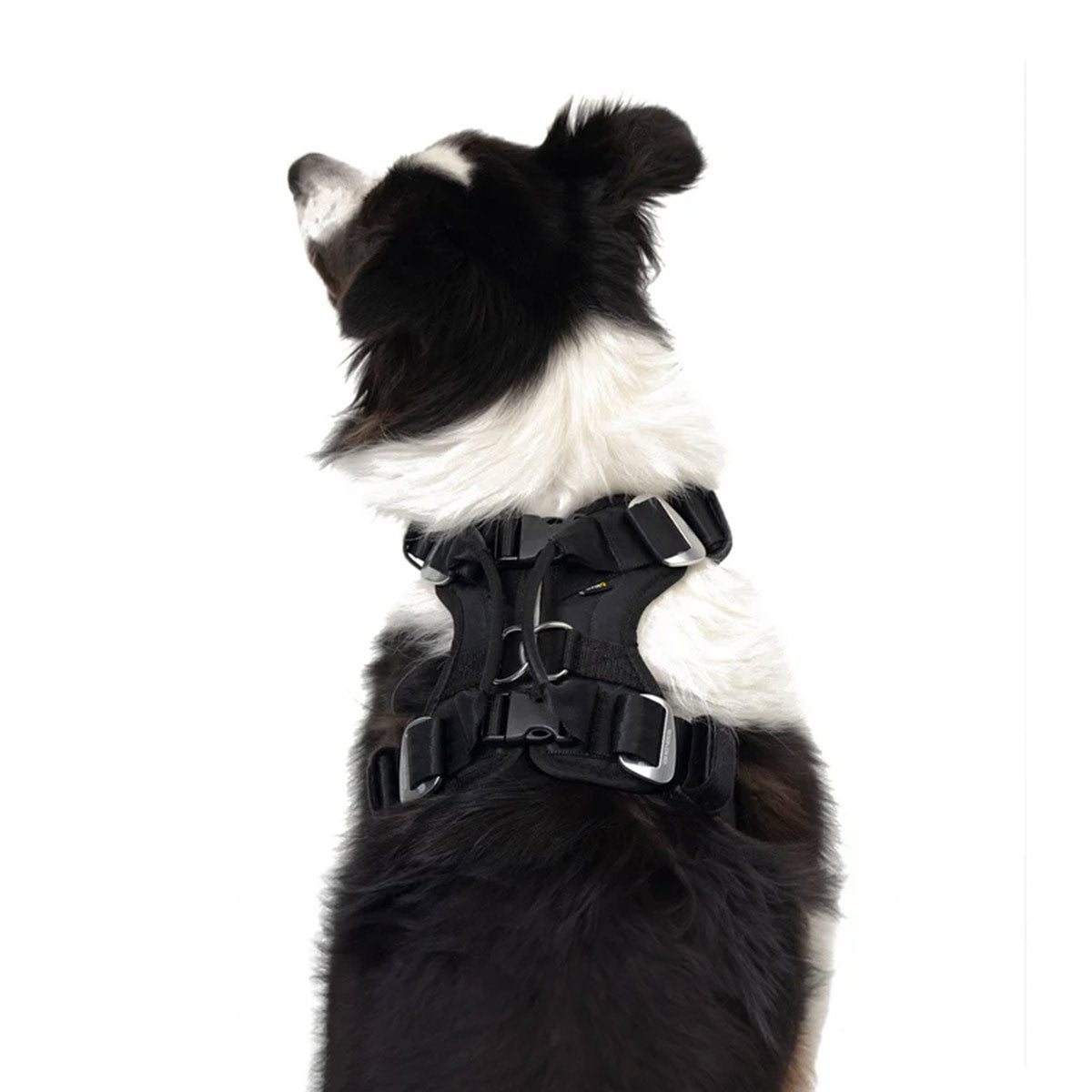 Dog car safety harness