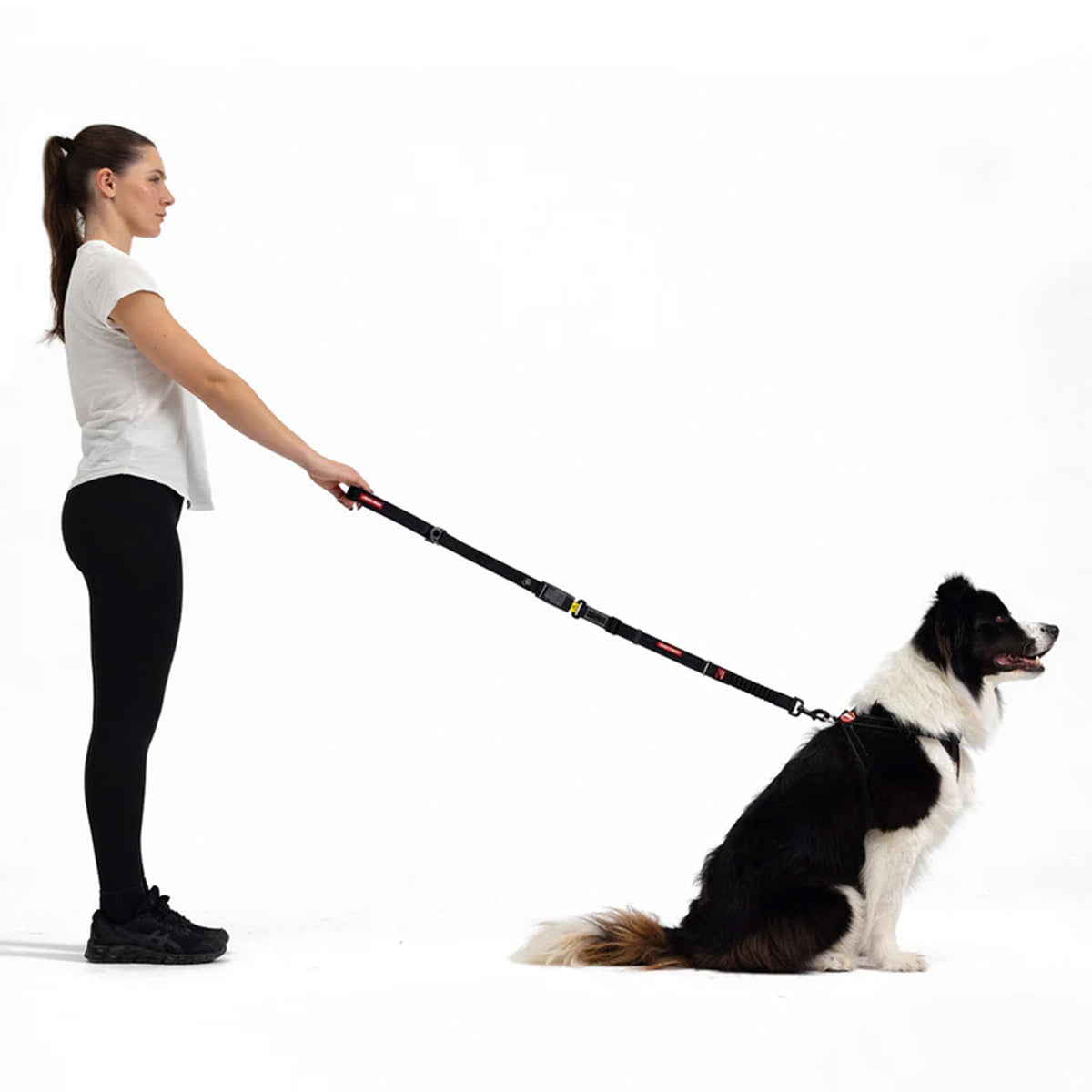 Dog car seat belt leash adaptor