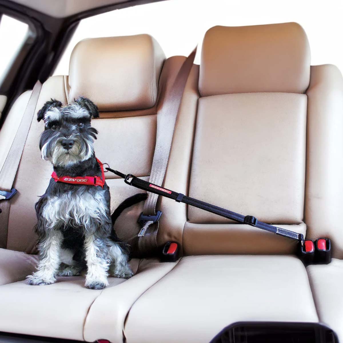 Dog Car Seat Belt
