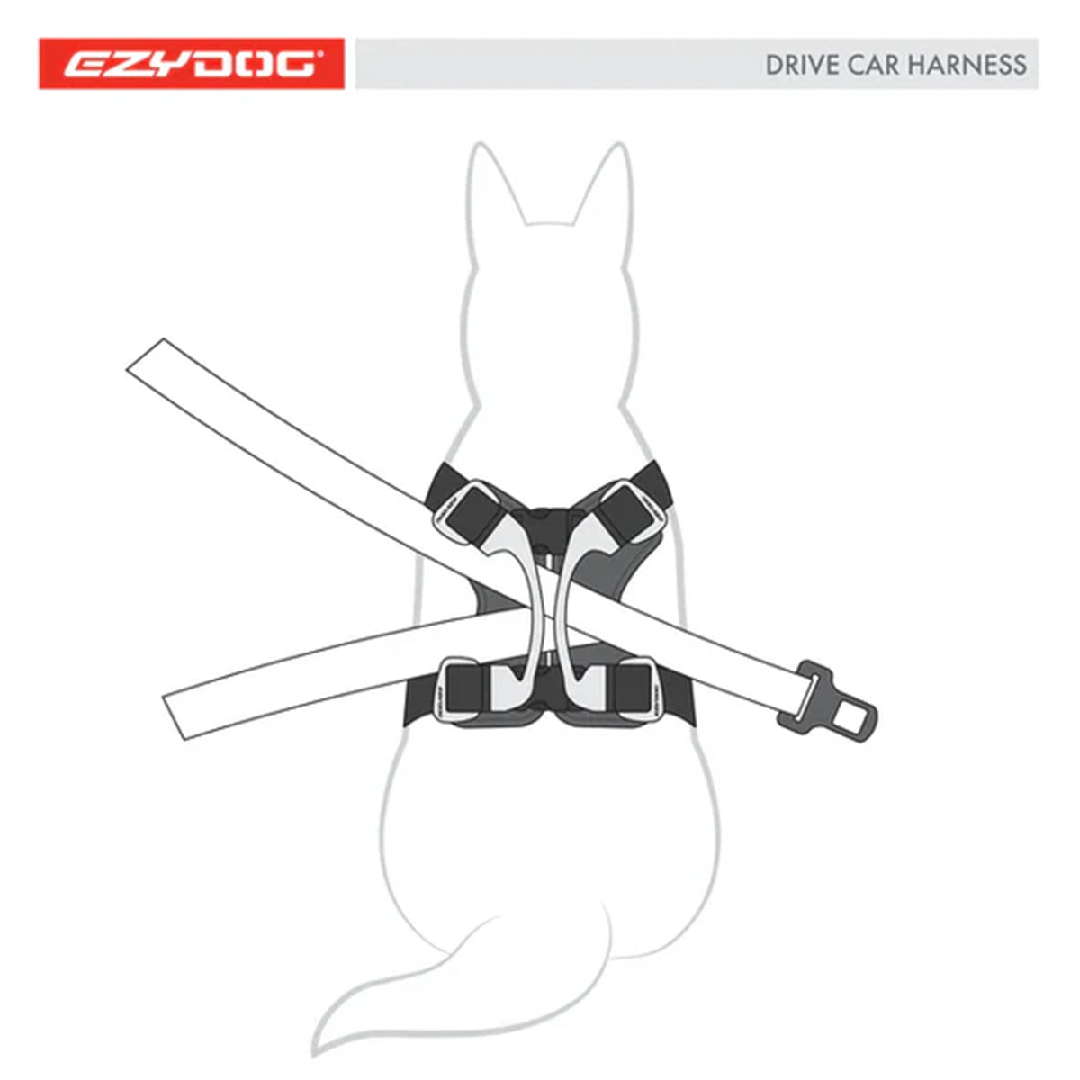 Dog in car safety harness