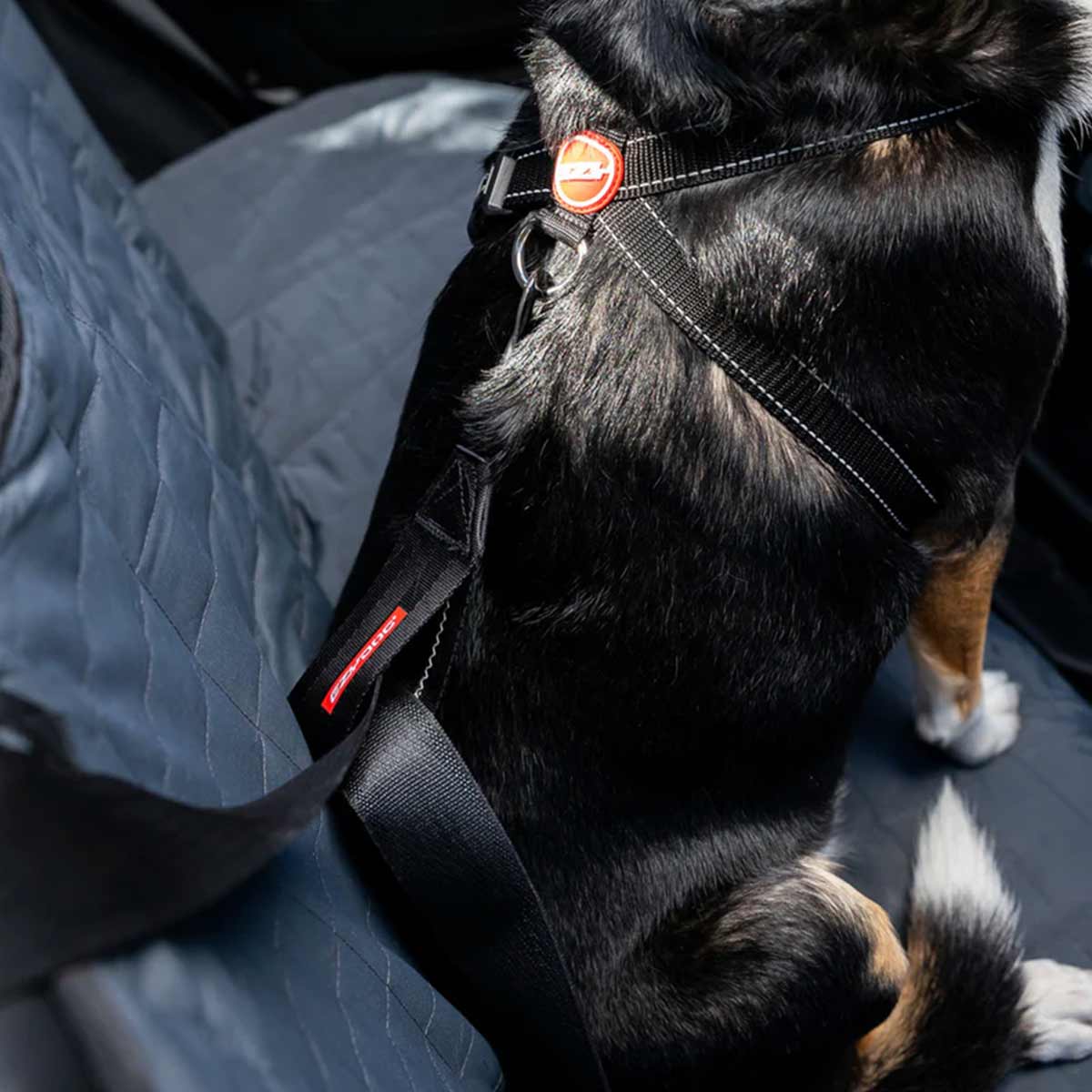 EzyDog Car Restraint
