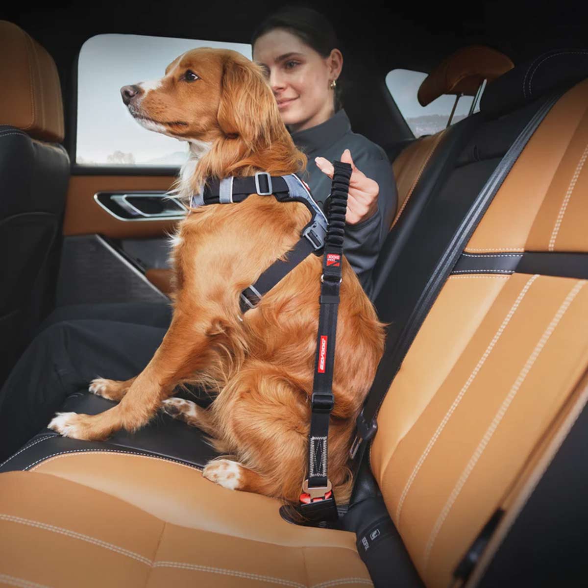 Pet car seat belt attachment