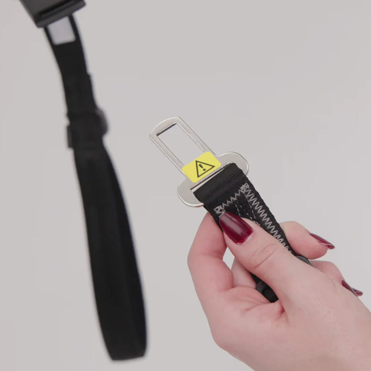 Pet seat belt lead adaptor