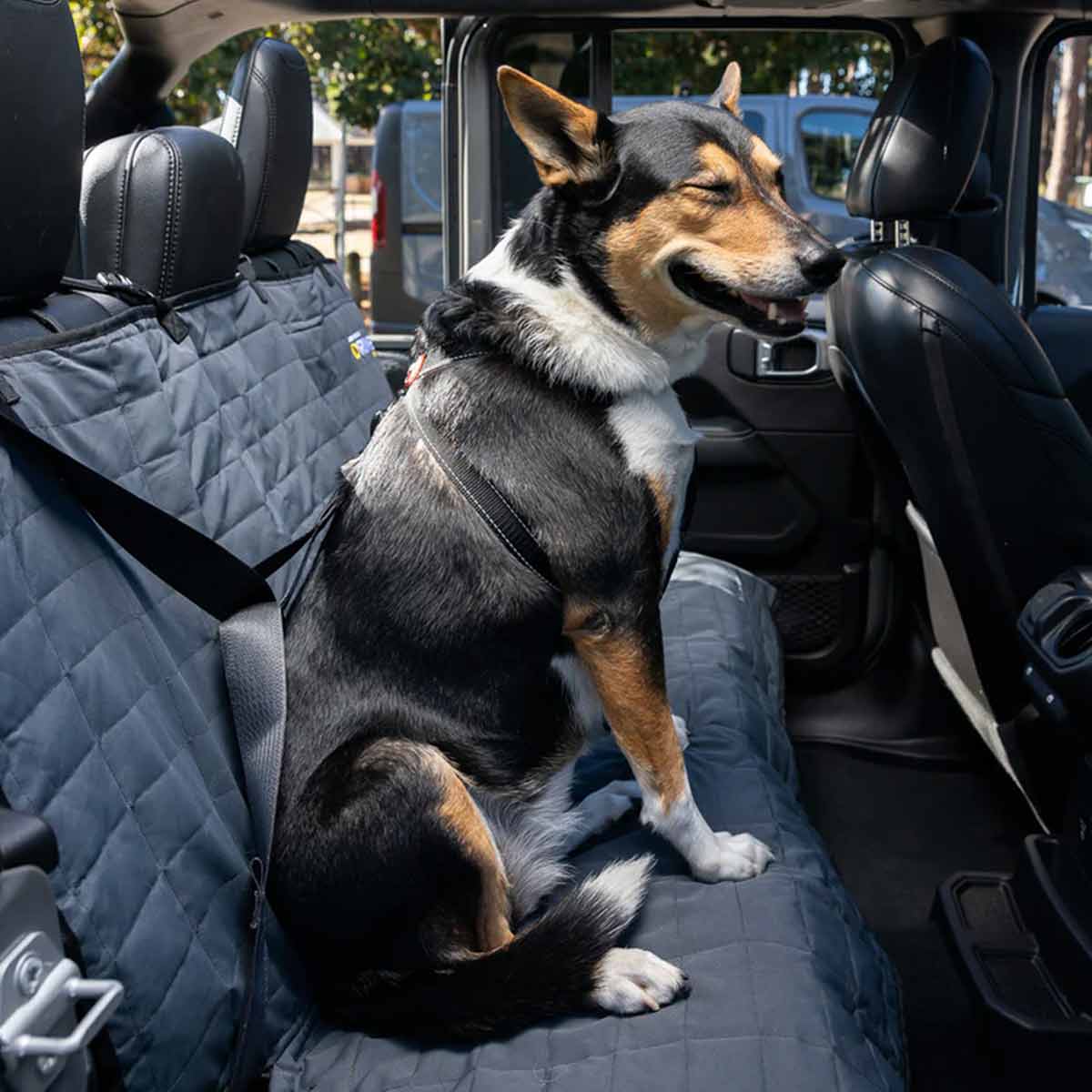 Back car seat cover for dogs