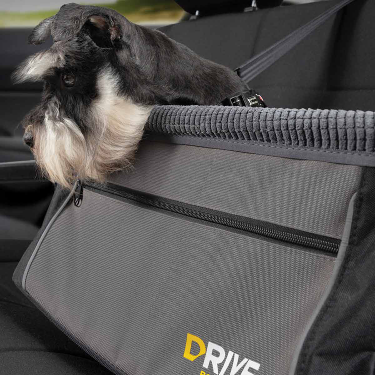 Booster seat for a dog