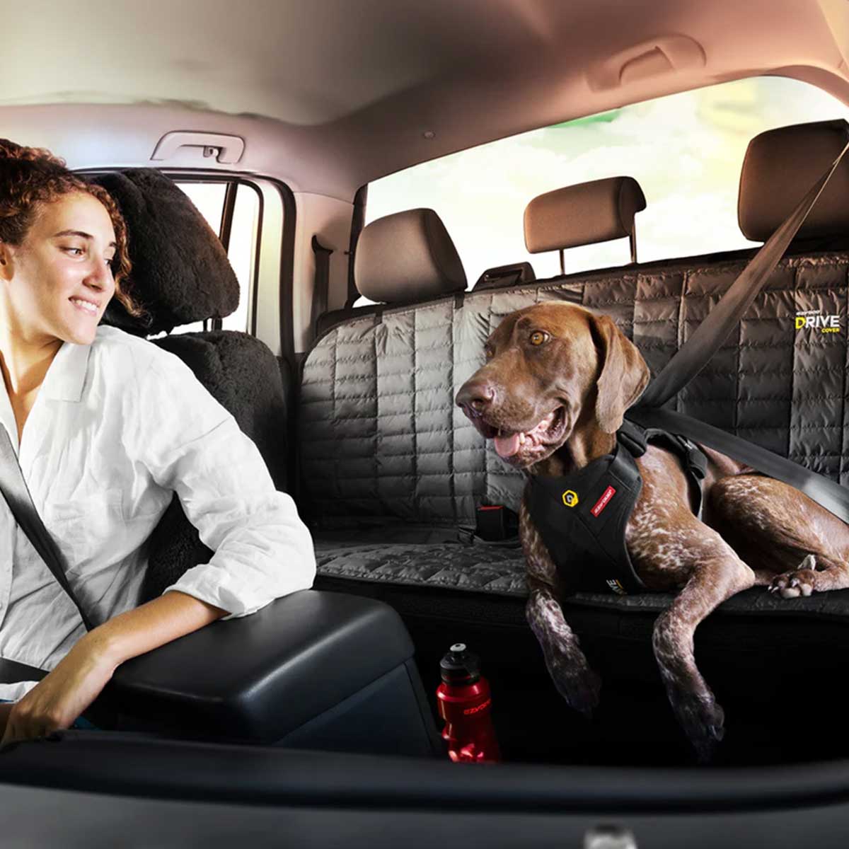 Car Dog covers for seats
