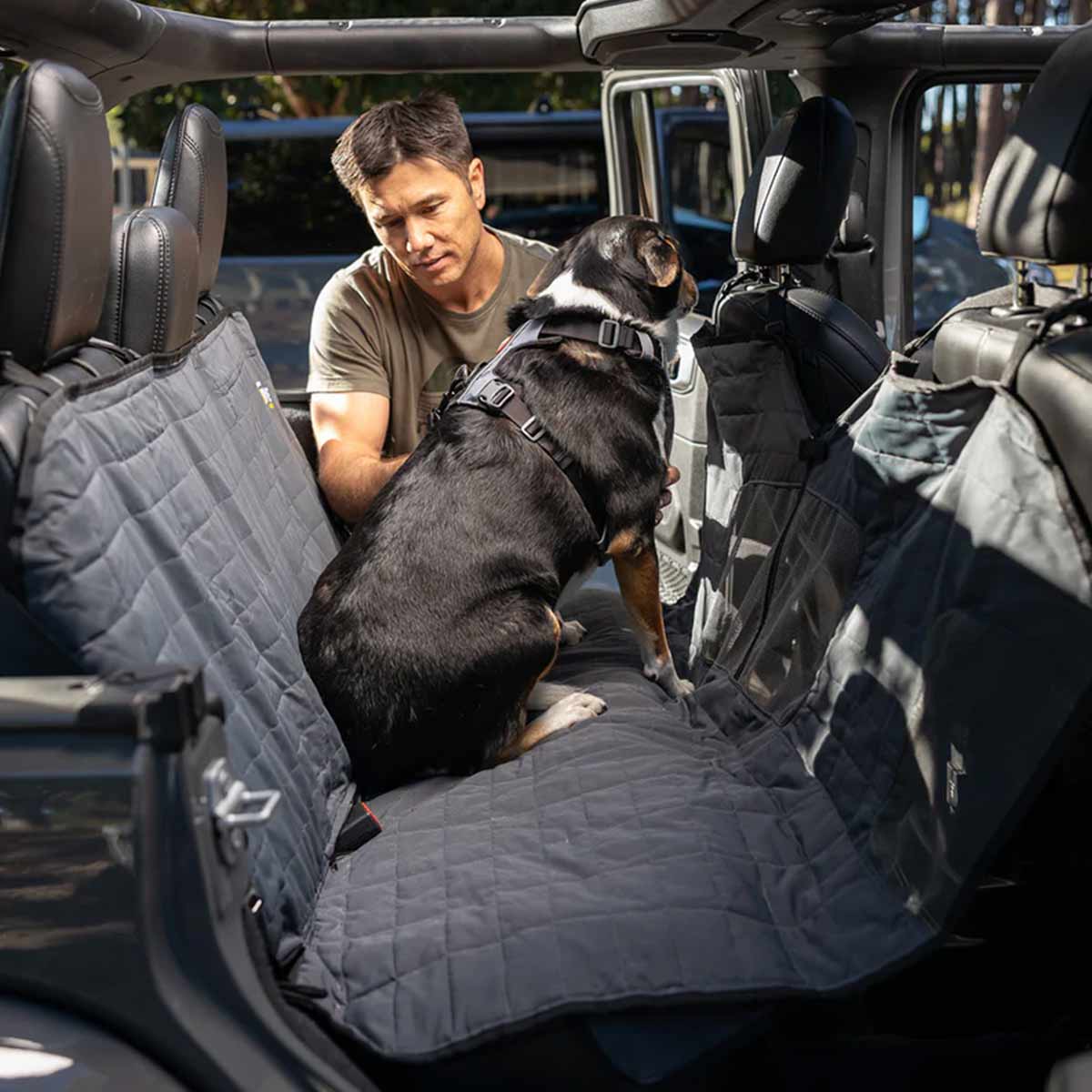 Car Dog Hammock