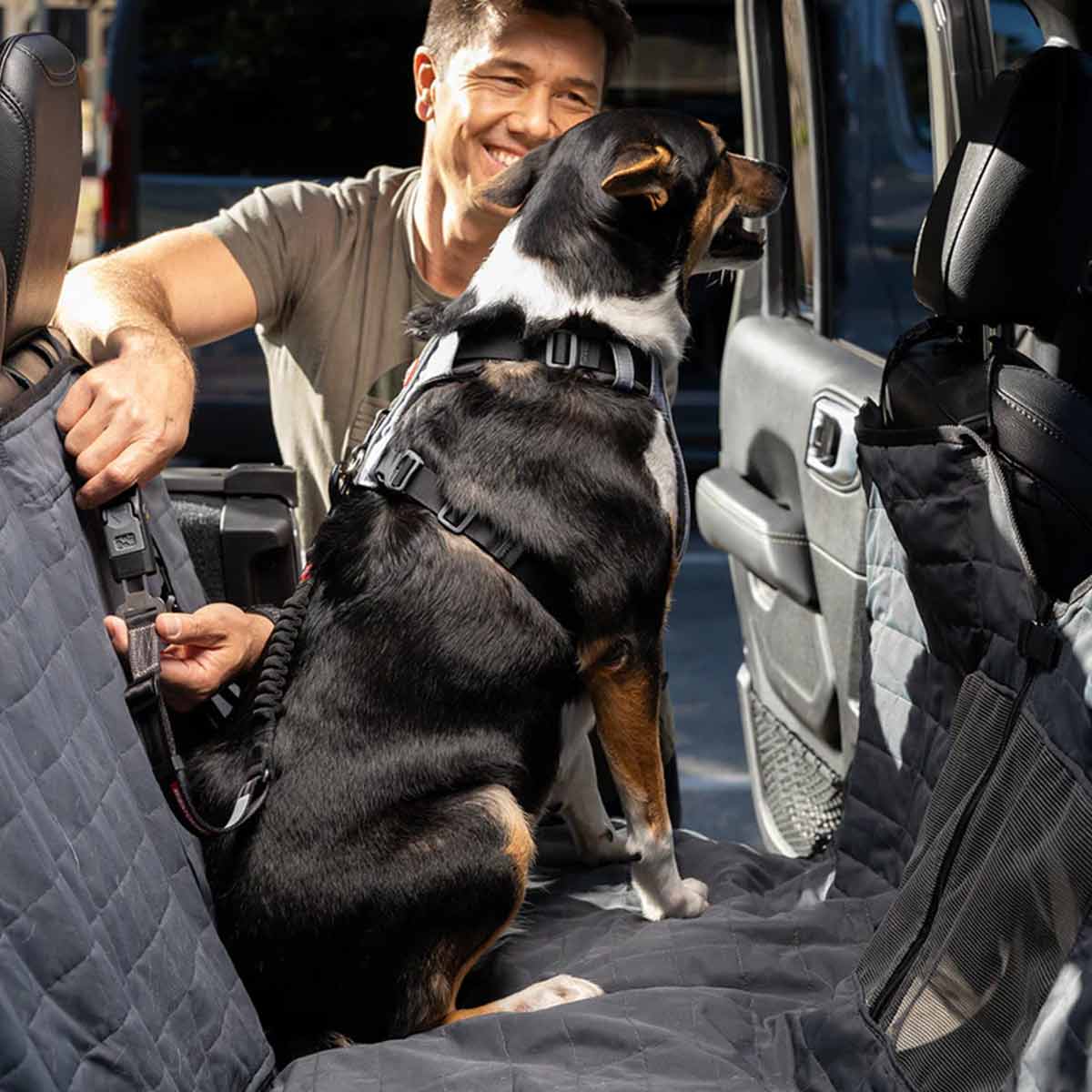 Car Dog Hammock