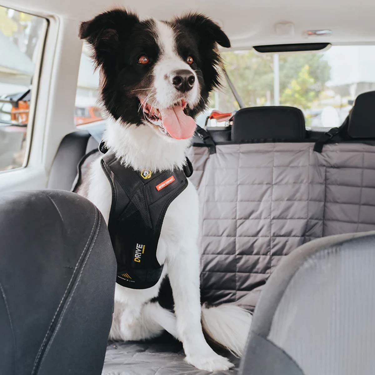 Dog car seat harness