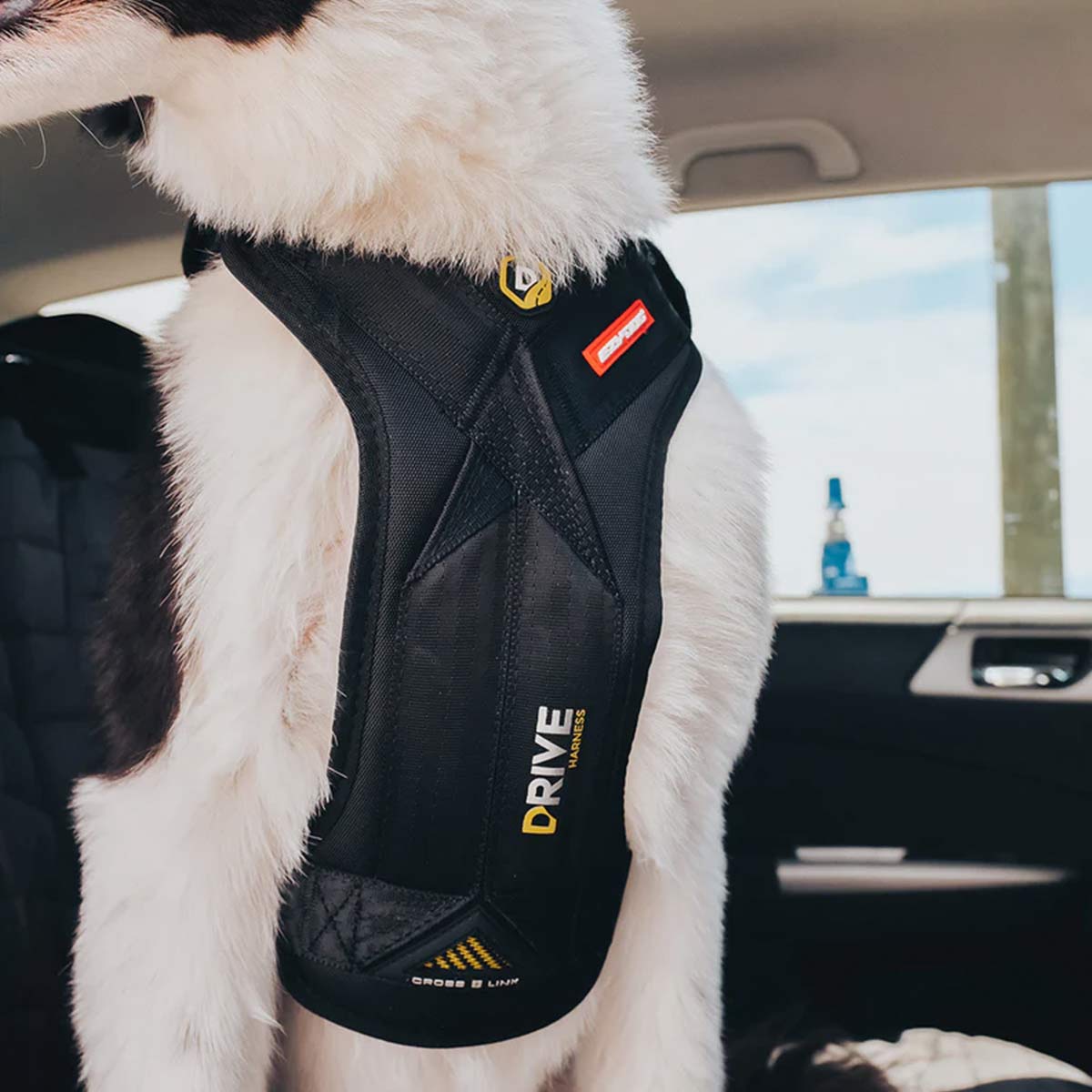 Dog Harness Car UK